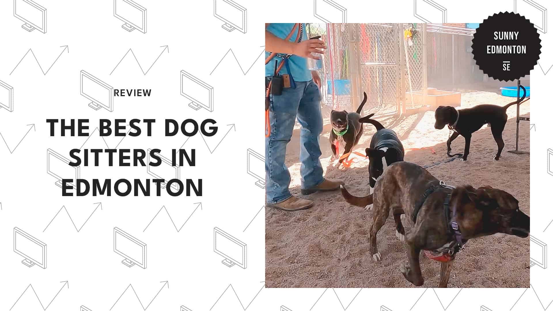 dog-sitters-in-edmonton