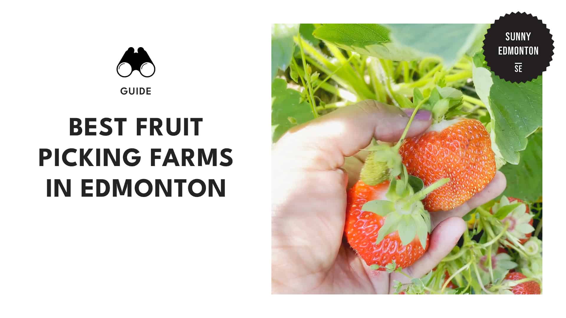 fruit-picking-farms-in-edmonton