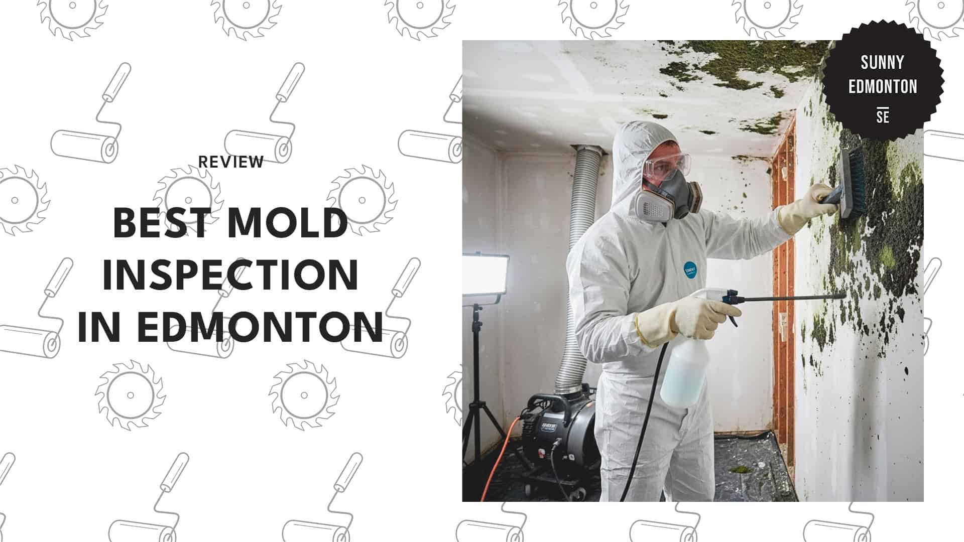 mold-inspection-services-in-edmonton