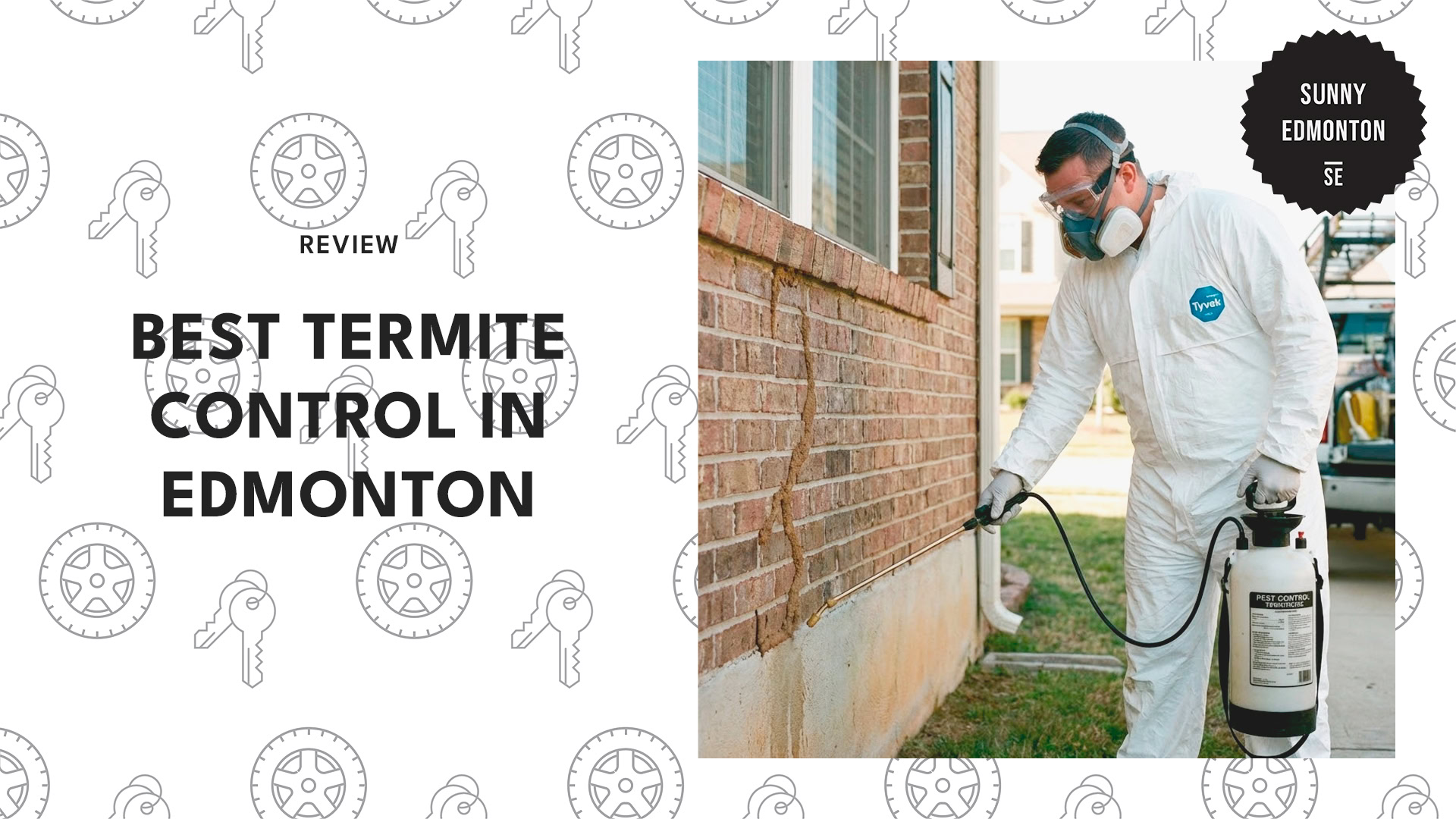 termite-control-in-edmonton