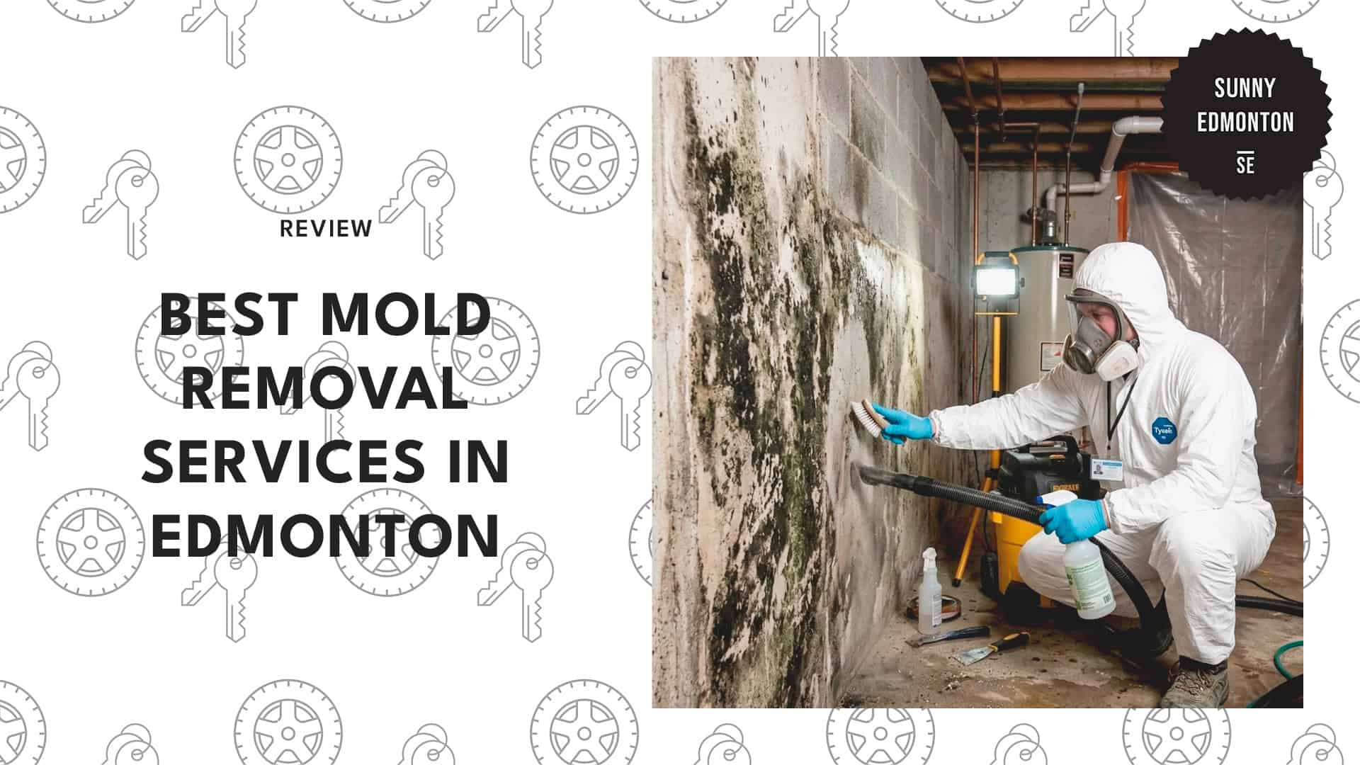 mold-removal-services-in-edmonton