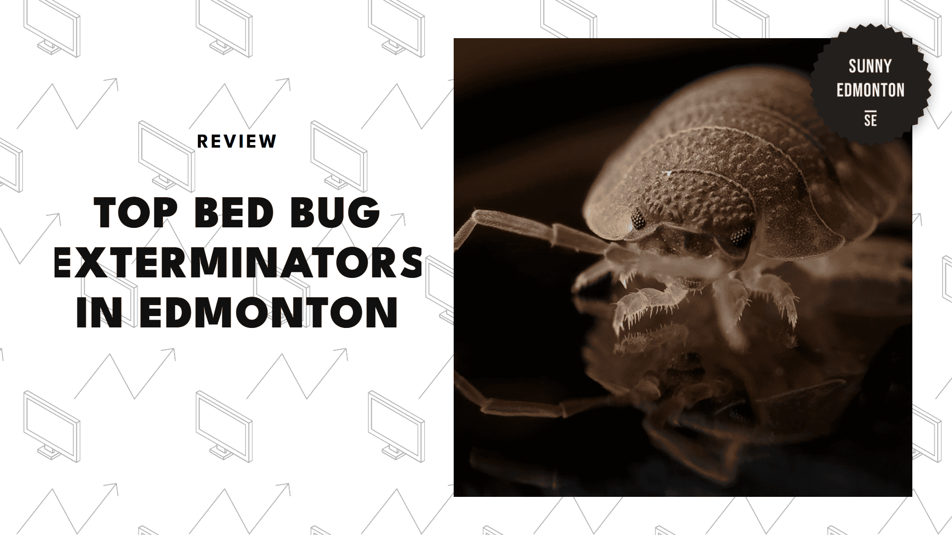 best-bed-bug-exterminator-edmonton