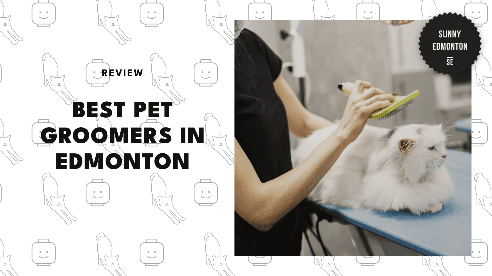 best-pet-grooming-edmonton