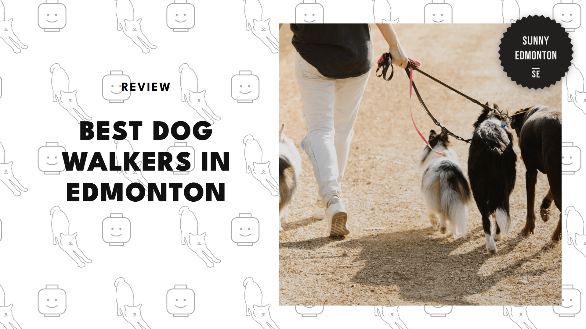 dog-walkers-in-edmonton