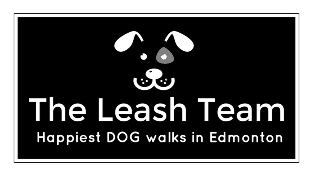 the-leash-team