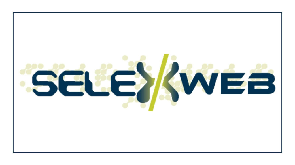 selexweb-website-design-seo